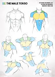 Then i begin refining the image of the beginner, working from broad generalities towards. Simplified Anatomy 01 Male Torso By Mamoonart Deviantart Com On Deviantart Drawing Reference Poses Art Reference Poses Male Figure Drawing