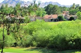 There are 8 office space listings at 4663 east cactus road. 4303 E Cactus Rd 424 Phoenix Az 85032 Mls 6109313 Redfin