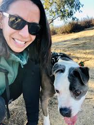 Frosted Faces Foundation Animal Rescue Highlights