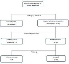 Figure 1 From Efficacy And Safety Of Oral Cefixime For The