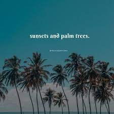 (singular and plural), from the same root as h8558; 70 Palm Tree Quotes And Captions To Inspire You Instagram