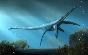 Image result for Plesiosaurus