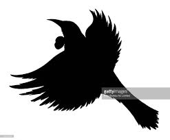 A Simple Black Silhouette Of The New Zealand Native Bird Tui Bird Silhouette Art Bird Silhouette Silhouette Painting