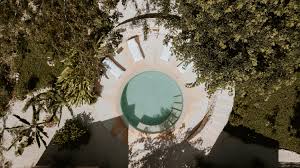 Image result for Galopina