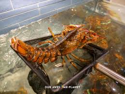 You don't have to worry about paying too much to have live maine lobster delivered to your doorstep, either, because shipping is free on orders of $100 or more. Red Lobster Ph The Best Of Lobsterworthy Celebrations In Manila Awesome