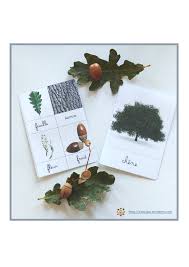 Epingle Sur Maternelle