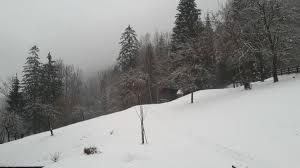 We have seen it in summer, spring, autumn and finally, this weekend, in winter. Citizen Science Network Austria On Twitter So Stellt Man Sich Das Wetter Zur Oecsk2016 In Lunz Am See Vor Guten Morgen Zusammen Citizenscience Winter Https T Co Fa9yxphg0d