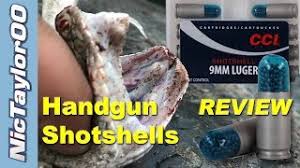 Do not reload these cartridge cases. Snake Killer Cci Shot Shells For Handguns Are They Worth It Youtube