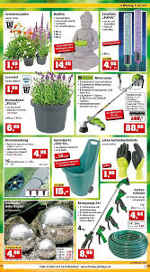 Darunter finden sie im frühling passende pflanzen und blumenerde, sowie rindenmulch über ihre sträucher. Thomas Philipps Prospekt 8 7 2019 13 7 2019 Seite 3 Rabatt Kompass