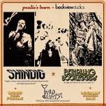 Pealie's x Beckview Studios - Shindig