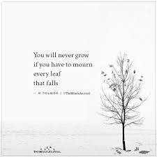You Will Never Grow If You Have To Mourn Growing Quotes Good Life Quotes Self Inspirational Quotes
