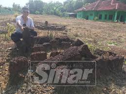 Jenis ltj yang selalu hadir terdapat dalam tanah laterit maupun batuan di semua lapisan channel sampling adalah gd dan pr, sedangkan untuk ce dominan di dalam tanah laterit dan trend menurun mendekati saprolit. Batu Nisan Yang Ditemui Mungkin Dari Kampung Duyong Pesawad