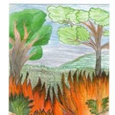 We did not find results for: Postal Dibujo De Incendio Forestal Publicidad Kaufen Alte Werbepostkarten In Todocoleccion 33553014