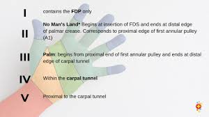Climb more moves or more days in a row). Finger Tips Tendons And Ligaments