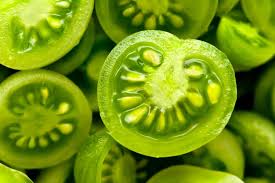 Die meisten tomaten reifen von innen nach außen, daher sind die tomatensamen grün, weil sie chlorophyll enthalten, das pigment in pflanzen, das ihnen einen grünen farbton verleiht. Grune Tomaten Sorten Reifezeit Pflanztipps Plantura