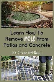 Wait 1 minute and then blot dry. Outdoor Mold Prevention And Removal Mold Help For You