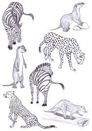 Each tutorial is designed to help you learn how to draw animals through a series of sketchbook challenges. Pei Qi Life Drawings Animals