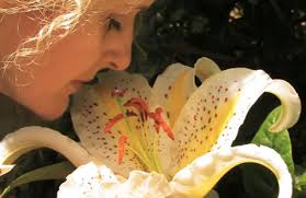 THE QUEEN OF THE BARBARY COAST ~ Gilded Lily by Ineke