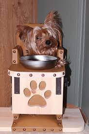 this special chair is saving the lives of hundreds of dogs bailey chair for dogs bailey chairs chair