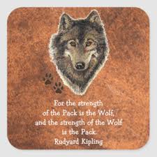Wolf Aquarell Geschenke Zazzle De