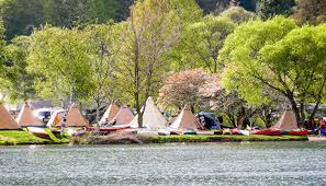 Unser campingplatz liegt in der bringhäuser bucht am schönen edersee. Die Besten Campingplatze In Der Nahe Baumkronenweg Edersee Alle Campingplatze Und Alle Anbieter Auf Jetcamp Com