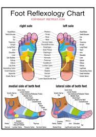 Without the foot reflexology chart, one just cannot understand and see where the reflex points are and where one should give. 10 Sample Foot Reflexology Charts In Pdf Ms Word