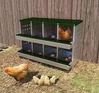 Garvee Chicken Nesting Box, for Laying Eggs, 8 Grids,36.22 x 16.54 x 24.8  inch, Green