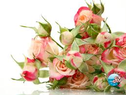 Consegna fiori negli stati uniti invio fiori negli stati uniti inviare, consegnare, spedire, mandare, recapitare a domicilio mazzi di fiori, rose, piante, dolci, torte, regali negli stati uniti è semplice e veloce con eflorashop. Regalare Una Composizione Di Fiori Puo Rivelarsi Una Scelta Giusta Per Molte Occasioni Fioristaonline