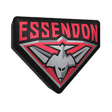 Fans have been left confused. Essendon Bombers Logo Cushion