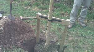 These tree food stakes provide a great source of nutrients that is designed for use with fruit trees but can be used with any tree needing a boost. How To Stake A Large Tree Youtube