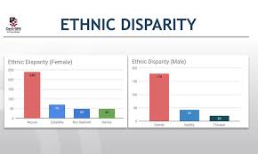 Missing plane bolsters racial unity in malaysia. Malaysiakini Elephant In The Racial Discriminatory Employment Room
