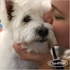 Happy tails pet resort & camp has been known 'muskoka's retreat for the furry elite' since 1996. Dog Love And Kisses Included With All Grooms Clubmutts Happytails Doglover Dogs Local Grooming Petspa Love Dogkisses Pet Spa Dog Kisses Dog Lovers