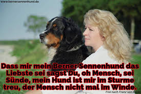 Berner Sennenhund Zitate Und Sprüche