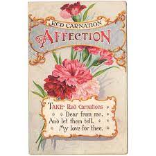 Red Carnation Flowers Affection Poem Antique 1910s Floral Postcard Carnation Flower Red Carnation Carnations