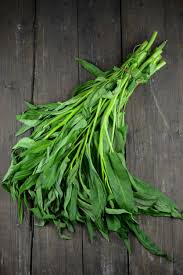 Tanaman kangkung darat banyak ditanam penduduk untuk konsumsi keluarga. Plecing Kangkung Aus Indonesien Wasserspinat Mit Sambal Wo Der Pfeffer Wachst Reisen Und Speisen