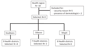 Flow Chart Of The Selection Of Study Sites Health Region