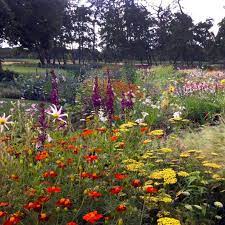 tuinen naturalistic garden garden planning piet