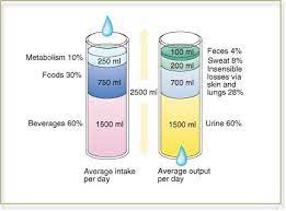 12 Intake Output Ideas Nursing School Nursing School Tips Nurse