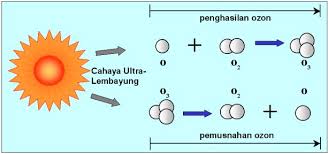 Penipisan lapisan ozon meningkatkan jumlah uvb (cahaya ultraungu atau ultraviolet b) yang mencapai permukaan bumi. Penipisan Ozon Shefalitayal