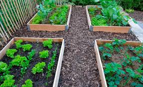 Gartenhäuser werden oft gekauft, um das gartenerlebnis zu verbessern, den wert des eigenheims. Rindenmulch Kauftipps Und Anwendung Mein Schoner Garten