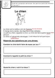 Lecture Comprehension Reading C French Activity