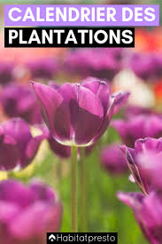 avec calendrier carre potager comment jardiner lunaire lune votre divertir les amis ainsi que are generally famille a la maison peut etre une tache ardu