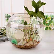 Very easy to use and is always sure to shine. Fish Bowl Glass Plant Pot Fish Tank 6 Inch Decoration Planter For Aquarium Aquariums Tanks Aliexpress