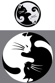 Black And White Cat Tattoo Ideas Cat Tattoo Ideas Template Yin Yang White Black Cat New Tattoo Models Schwarze Katze Tatowierungen Katzen Tattoo Katzentattoos