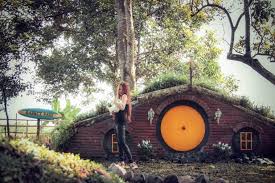 Ada pohon sakura yang cantik di musim semi, dan pohon maple yang mempesona di musim gugur. Harga Tiket Masuk Dan Lokasi Rabbit Park Blitar Spot Wisata Terbaru Dengan Fasilitas Menarik Daka Tour