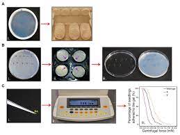 Roger wang — moon flower (yie lai xiang) 02:47. Frontiers A Centrifuge Based Method For Identifying Novel Genetic Traits That Affect Root Substrate Adhesion In Arabidopsis Thaliana Plant Science