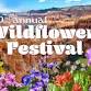 CB: Wildflower Festival
