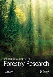 Image result for Cyathea mildbraedii