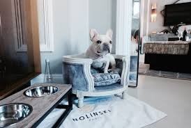 Nolinski Paris Dog Friendly Hotels Dog Friends Paris Hotels