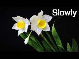 Abc Tv How To Make Daffodils Flower From Crepe Paper 2 Slowly Craft Tutorial Youtube In 2020 Paper Flower Video Paper Flowers Paper Flowers Craft